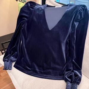 Evereve Deep Blue Velvet Blouse
